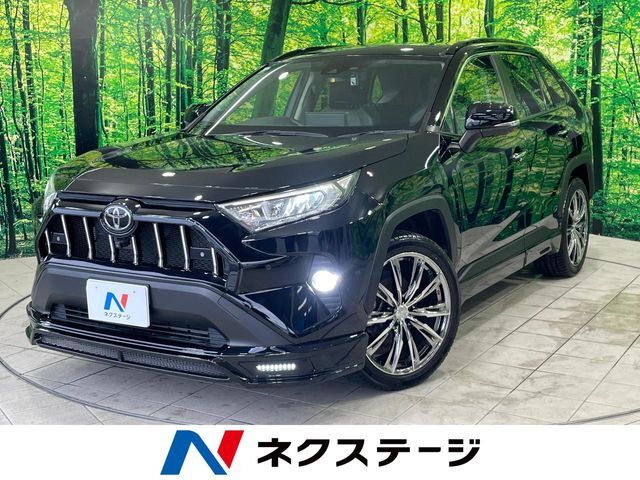 ルーフレール　エムズスピードエアロ　ディスプレイオーディオ　全周囲カメラ