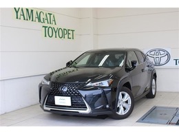 レクサス UX 250h 4WD 衝突被害軽減ブレーキ/バックカメラ/ETC