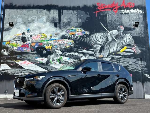 SteadyAutoの車両をご覧いただき、ありがとうございます！