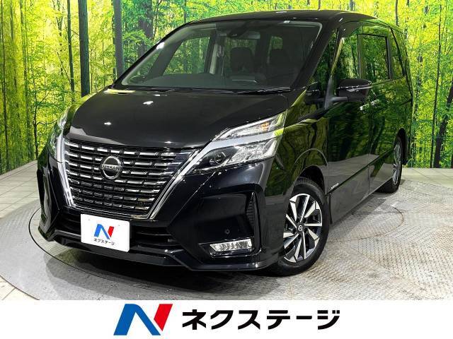 純正10型ナビ　フリップダウンモニター　両側電動スライドドア　ETC