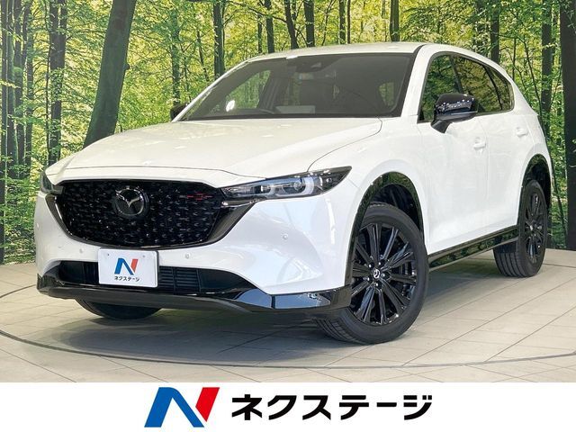 全周囲カメラ　衝突軽減　ヘッドアップディスプレイ　ブラインドスポット