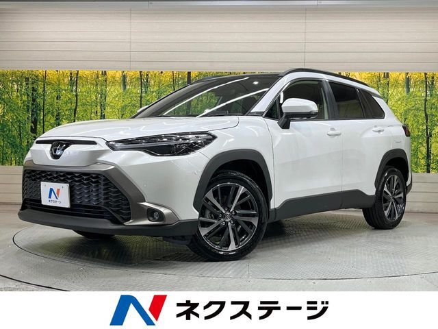 純正10型ディスプレオーディオ　ガラスルーフ　全周囲カメラ　衝突被害軽減