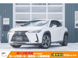 レクサス UX 250h バージョンL 4WD バックカメラ・全方位カメラ・ムーンルーフ