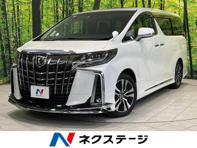 サンルーフ　純正9型ナビ　フリップダウンモニター　デジタルインナーミラー