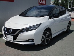 日産 リーフ G 純正ナビ　アラモニ　プロパイ　本革シート