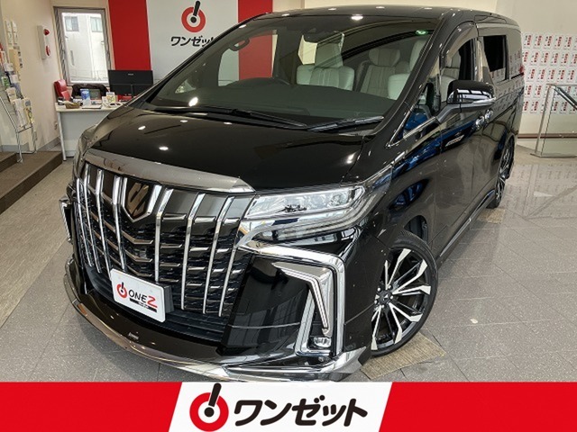 禁煙車　モデリスタエアロ　モデリスタAW　トヨタセーフティセンス　プリクッシュ　レーダークルーズ　クリアランスソナー　メーカーナビゲーション　JBLサウンド　パノラミックビュー　デジタルインナーミラー