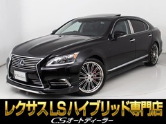 LSハイブリッド