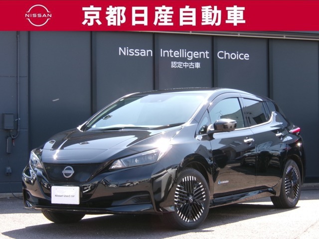 パワフルな加速性能と静粛性を実現した「リーフ」。ランニングコストも魅力です。