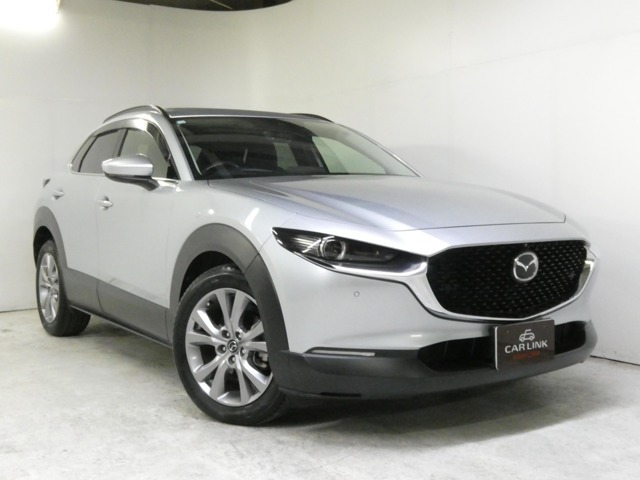 1オーナー/360度ビューモニター/ブラックルーフレール/パワーバックドア/BSM/アダプティブクルコン/パワーシート/禁煙車/1年保証付き