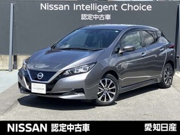日産 リーフ S 純正ナビ　バックモニター　LEDヘッド