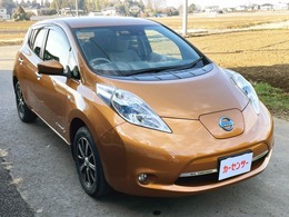 日産 リーフ 30kWh X 11セグメント