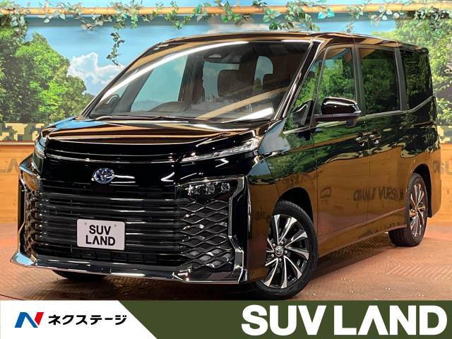 登録済未使用車　純正ナビ　両側電動ドア　レーダークルーズ　バックカメラ