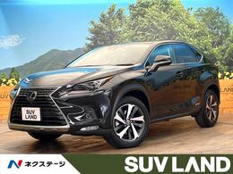 レクサス NX 300h Iパッケージ 10型ナビ 全周囲カメラ