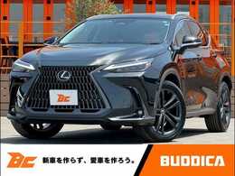 レクサス NX 250 バージョンL パノラマルーフ 14型ナビ ルーフレール