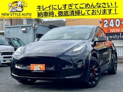 モデルY