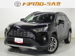 トヨタ RAV4 2.0 G Zパッケージ 4WD フルセグナビ　バックカメラ　電動Rゲート