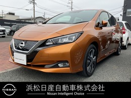 日産 リーフ G プロパイロット　アラウンドビュー