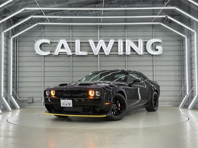 ダッジ 2019年全カラーコンプリート新品 廃盤レアセット ダッジ