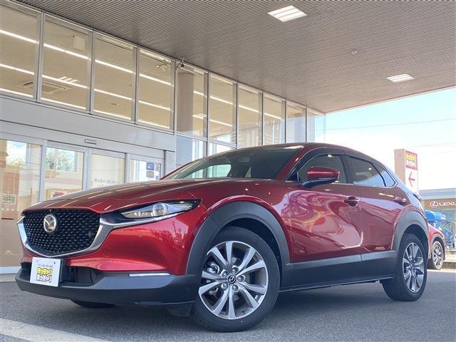 【カーセンサー】カーセン・カーセンサー・かーせん・かーせんさーのお車探しは当店にお任せください！北陸/福井/石川/岐阜/愛知/滋賀/坂井/越前/鯖江/敦賀/大野/小浜/あわら/勝山/丹生郡越前町/