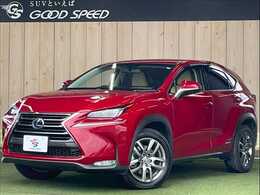 レクサス NX 300h バージョンL 純正ナビ/三眼LED/追従クルコン/電動ドア