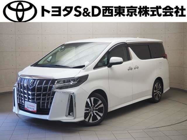 専用です！！ ハイマウント・ストップランプ内蔵リア・スポイラーを装備した