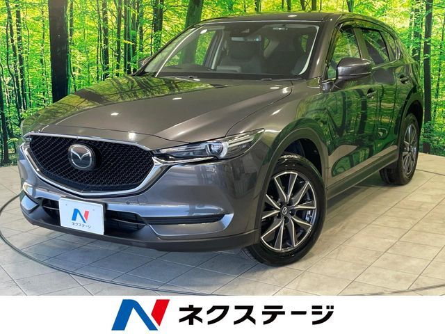 レーダークルーズ　BSM　HUD　車線逸脱警報　クリアランスソナー