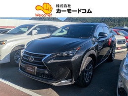 レクサス NX 300h テレビナビ　バックカメラ　クルコン