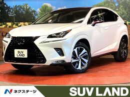 レクサス NX 300 ブラック シークエンス ガラスルーフ　純正DVDナビ　全周囲カメラ