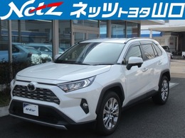 トヨタ RAV4 2.0 G Zパッケージ 4WD フルセグナビ　ETC装備