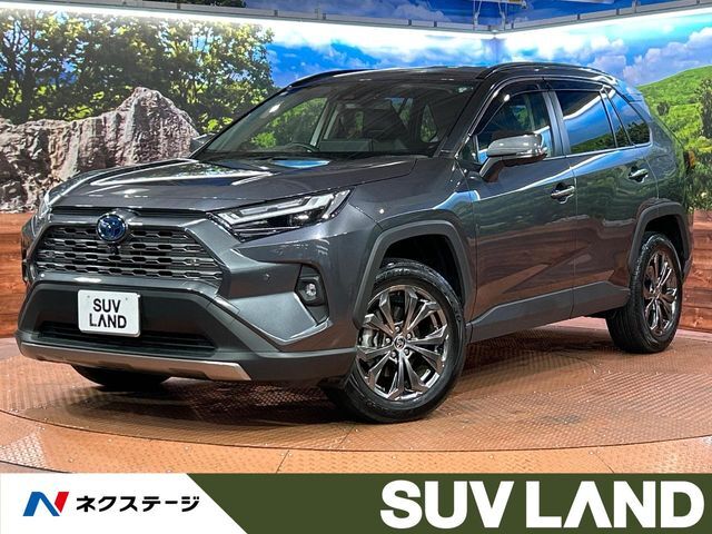純正10型ディスプレイオーディオ　全周囲カメラ　衝突軽減
