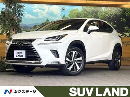 レクサス NX 300 Iパッケージ 10.3型ナビ 全周囲カメラ 電動リアゲート