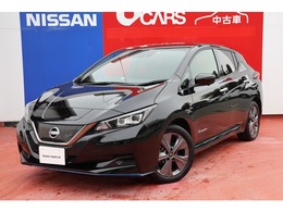 日産 リーフ e+ アーバンクロム 令和3年式　62KW 大型ナビ　プロパイロット