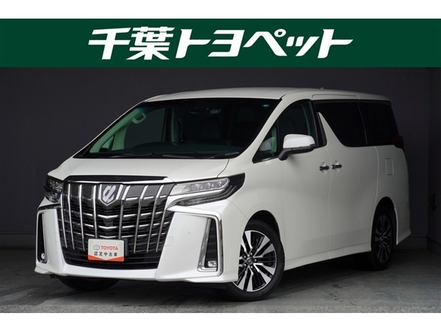 【メイン】　千葉・茨城・埼玉・東京・神奈川での登録、及びご来店いただける方への販売に限らせていただきます。