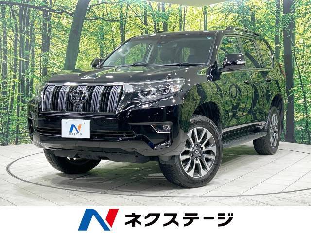 サンルーフ　セーフティセンス　禁煙車　メーカー9型ナビ　全周囲カメラ