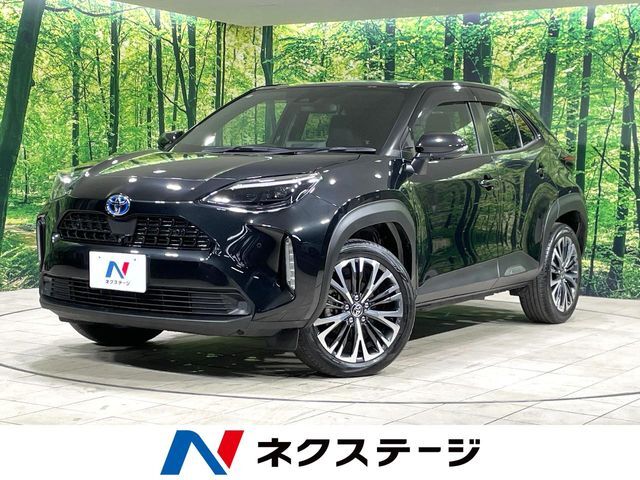 衝突軽減　レーダクルーズコントロール　純正8型ディスプレイ　全周囲カメラ