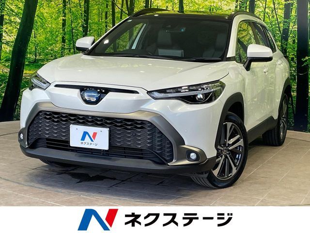 沖縄県内での販売・登録が条件※宮古島除く