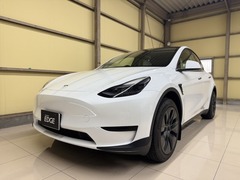 モデルY