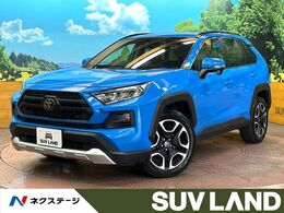 トヨタ RAV4 2.0 アドベンチャー 4WD 4WD　純正SDナビ　バックカメラ