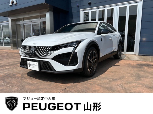408GT オケナイト・ホワイト入荷しました。
