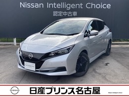 日産 リーフ X Vセレクション 寒冷地仕様　プロパイロット　全周囲カメラ