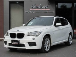 BMW X1 sドライブ 20i Mスポーツ 純正HDDナビ　ミュージックサーバー　フル