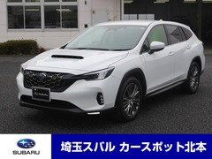 レヴォーグレイバック
