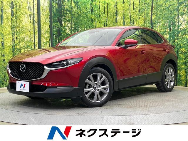 4WD　純正8.8型ナビ　全周囲カメラ　衝突被害軽減システム　禁煙