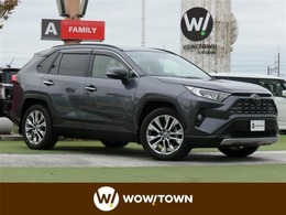 トヨタ RAV4 2.0 G Zパッケージ 4WD 9型純正SDナビ TV BT BSM ACC 衝突軽減