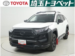 トヨタ RAV4 2.0 アドベンチャー オフロード パッケージII 4WD 