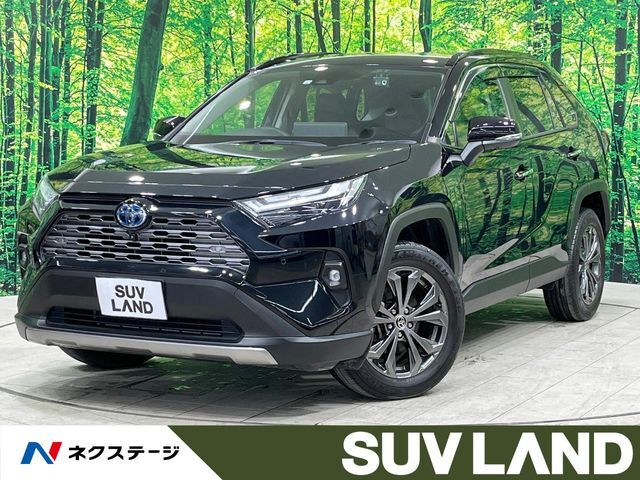 禁煙車　純正10型ディスプレイオーディオ　全周囲カメラ　フルセグ　ETC