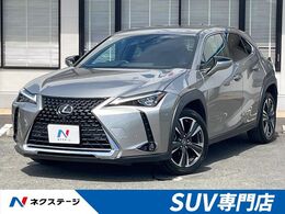 レクサス UX 200 バージョンL 10.3型メーカーナビ　全周囲カメラ　ブライ