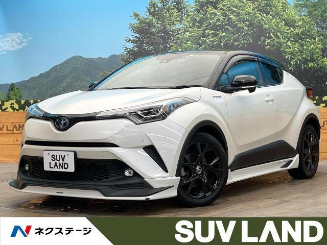 特別仕様車　モデリスタエアロ　純正9型ナビ　バックカメラ　禁煙車