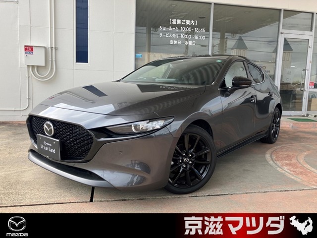 秋の大商談会　特選車　販売開始　11月1日(土)　10時