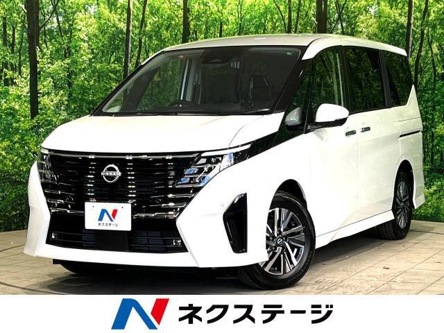 純正12型ナビ　両側電動ドア　全周囲カメラ　プロパイロット　ETC